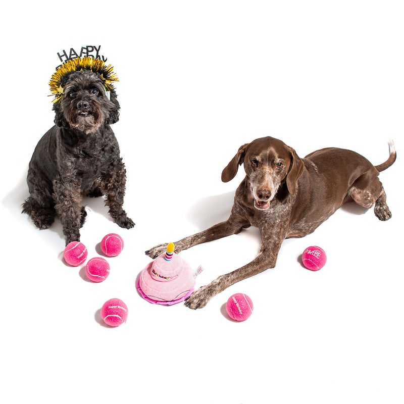 Midlee Happy Birthday Dog Tennis Balls (6 Pack) (Regular, Pink) - Image 3
